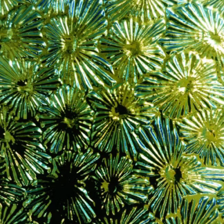 Dichroic COE90 WTBFLBG fekete-kékeszöld virágmintás üveg CBS