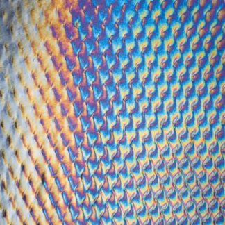 Uroboros 58-56-96 F fekete buborékos irizált opál fusing üveg