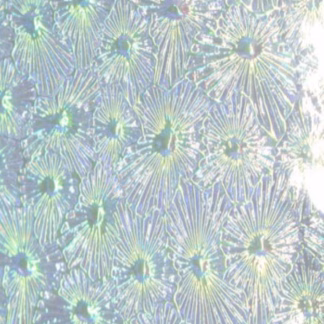 Dichroic COE96 W01 Flor átlátszó-türkiz virágmintás üveg CBS