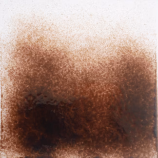 Üvegpor őzbarna 0105/0 COE 82