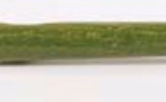 Üvegvágó Diamantor fanyelű 200.1