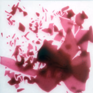 Tojáshéj goldrubin 4005 COE 82