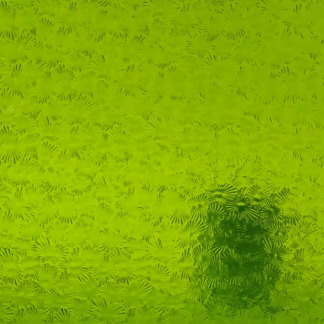 W 1146 Florentine fűzöld transzp. üveg