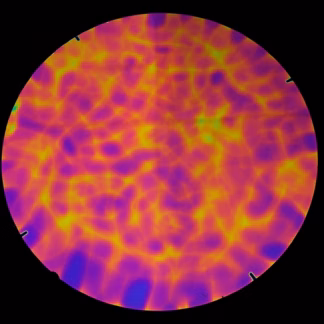 Dichroic COE96 WTBAGM fekete-magentás-mintás üveg